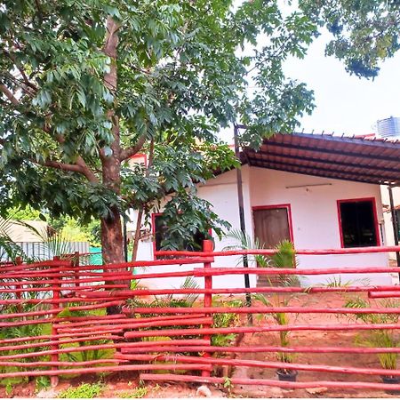 Golden Magnolia Homestay 班加罗尔 外观 照片